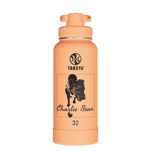 Actives Water Bottle With Spout Lid - customized
