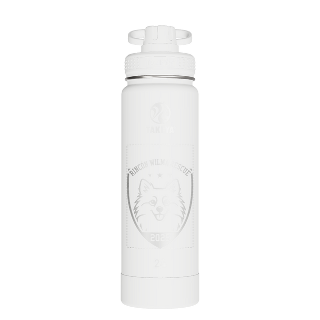 Actives Water Bottle With Spout Lid - customized