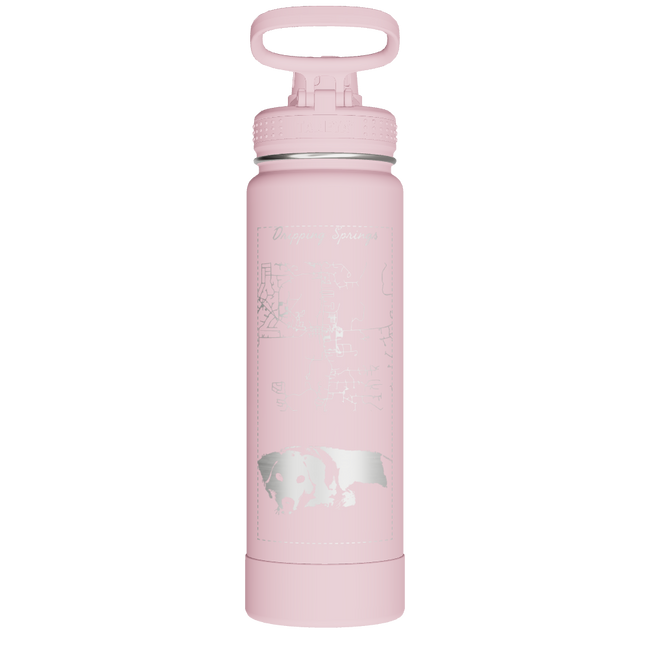 Actives Water Bottle With Spout Lid - customized