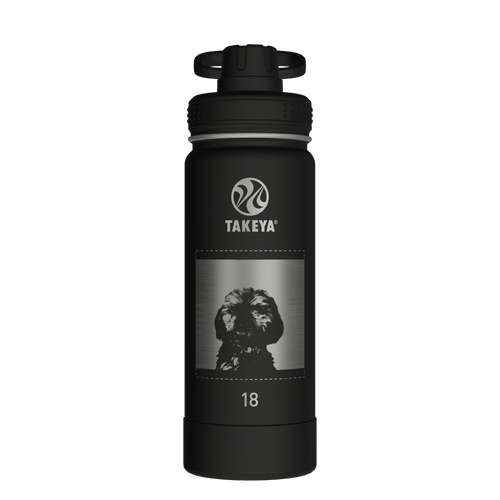 Actives Water Bottle With Spout Lid - customized