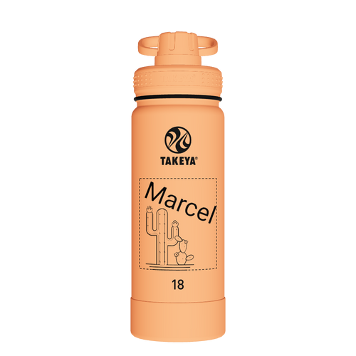 Actives Water Bottle With Spout Lid - customized
