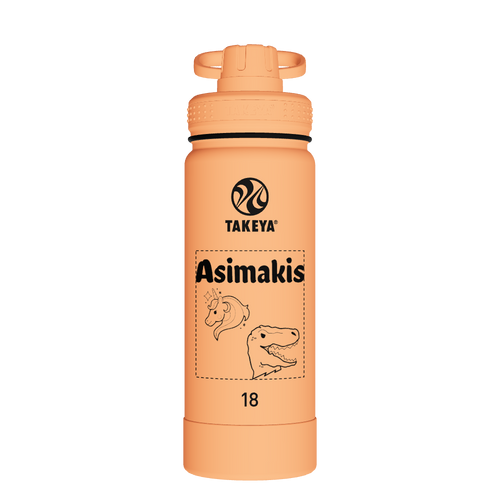 Actives Water Bottle With Spout Lid - customized