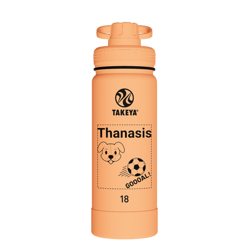 Actives Water Bottle With Spout Lid - customized