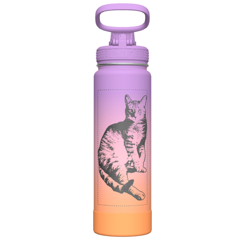 Actives Ombre Water Bottle With Spout Lid - customized