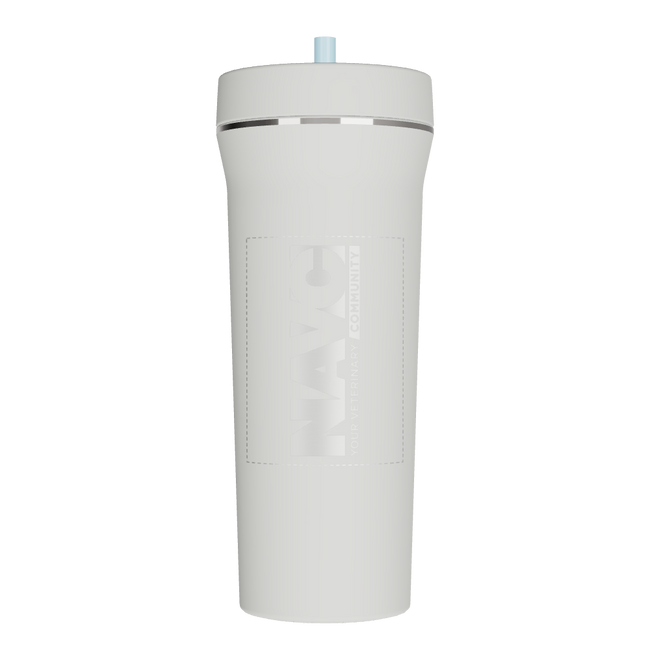 32 oz Straw Tumbler - customized
