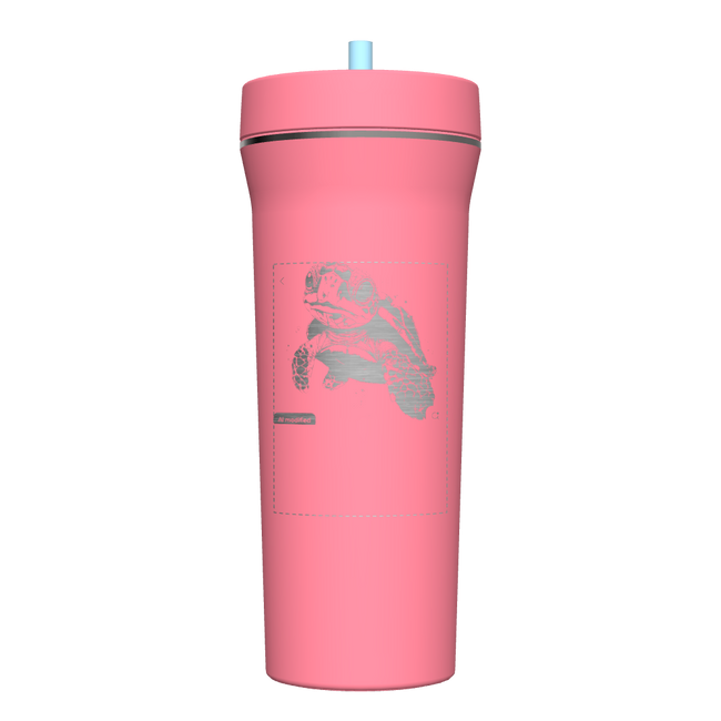 32 oz Straw Tumbler - customized